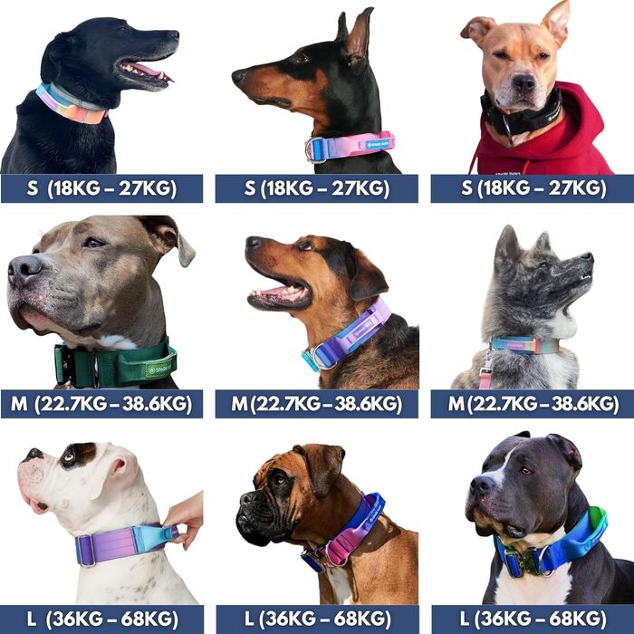 Тактичний нашийник для собак Spark Paws – міцний, преміум-якість, товстий та довговічний для великих та середніх собак – Army Green, XS: 9-18 кг [2.5 см]