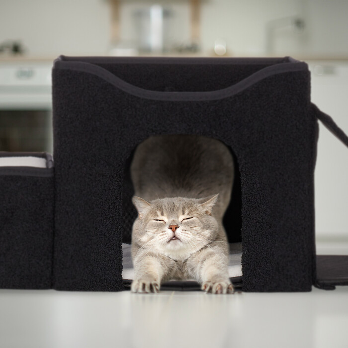 Котяча печера Relaxdays з декількома спальними місцями