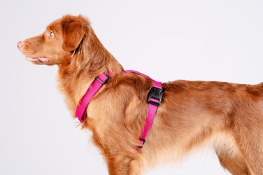 Шлейка для собак Chaba Guard для малих та середніх порід, контрольована, протисмикова, регульована, зручна, легка, класична, розмір M, фуксія/рожева