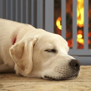 Захисне ворота для собак Relaxdays, сіре, 70 x 154 см, розкладне, з дверцятами та ніжками, самостійне