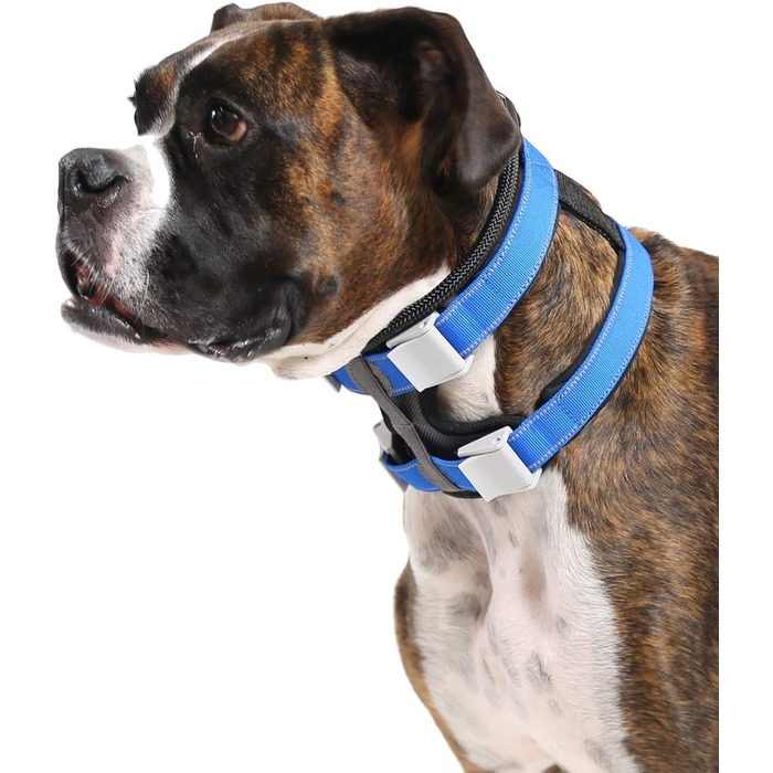 Cesar Millan Pack Leader Collar™ - The Dog Whisperer's Training Collar (Medium, Blue)