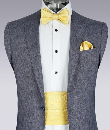 Набір краватка, ремінець та нагрудна хустинка Alizeal Classic Paisley (133-Golden)