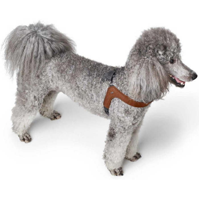 Нашийник для собак HUNTER DIMARO, м'яка та міцна шкіра, регульований, для цуценят та собак, розмір M, колір cognac