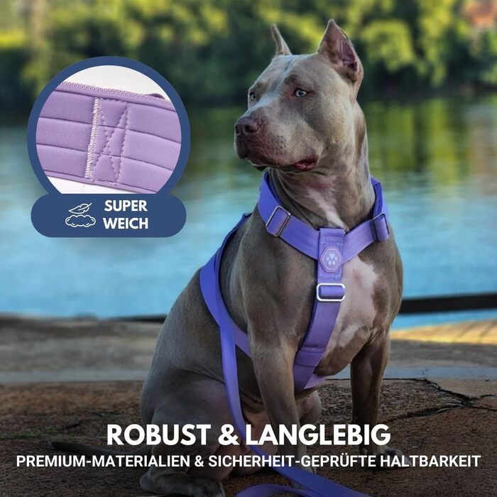 Шлейка для собак Spark Paws No Pull для великих порід, фіолетовий колір, розмір L (16-25 кг), надійна та зручна
