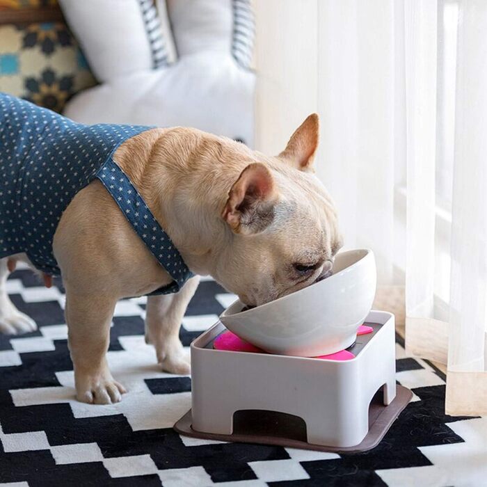 Миска для собак та котів JYHY Bulldog з кераміки, нахилена, з гумовою основою, 1.5 чашки (Чорна миска + стійка)