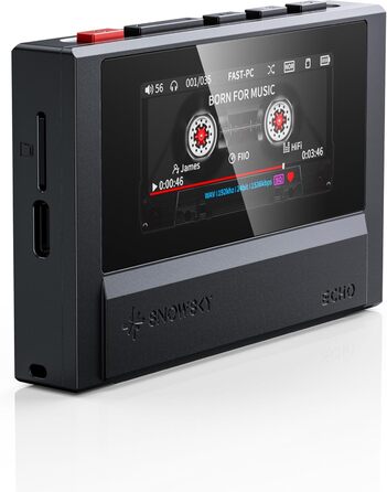 FiiO Echo Retro Hi-Res ЦАП-плеєр для аудіо, Bluetooth, 4.4 мм, Кольоровий екран, Портативний DAP (Чорний)