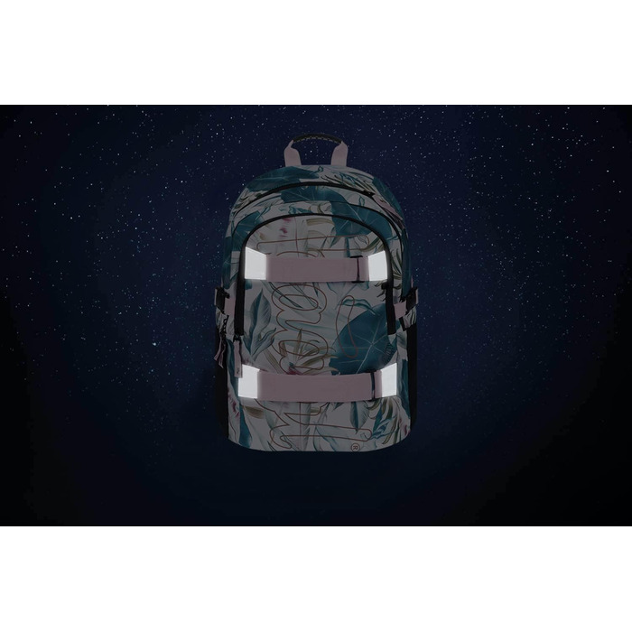 Шкільний рюкзак Baagl для хлопчиків та дівчаток - рюкзак на скейтборді з відділенням для ноутбука та нагрудним ременем, для школи, старшої школи, середньої школи, принт Skate Leafs