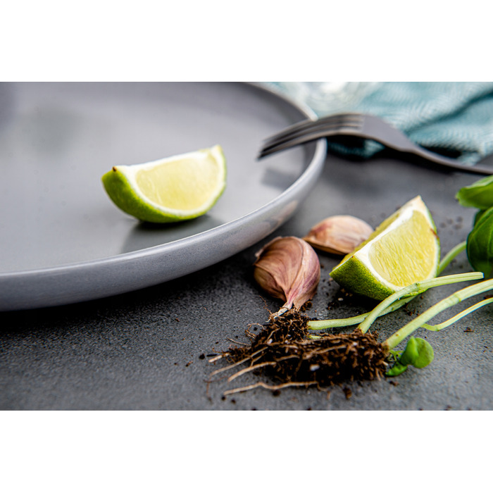 Обідній сервіз Konsimo Victo, 24 предмети