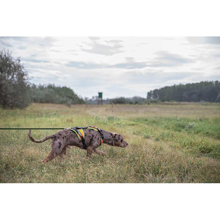 Нашийник для дратхаунда Juliu-K9 Mantrailing 19MTR з неоновим кантом (XS, помаранчевий)