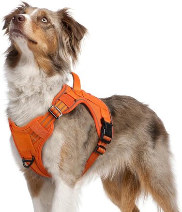 Нашийник для собак Rabbitgoo середнього розміру, анти-тяга, регульований з ручкою, міцний, тактичний, з металевими пряжками, для прогулянок (M, Оранжевий)