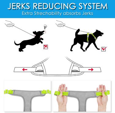 ThinkPet шлейка для собак від тяги з ручкою - регульована, без тиску, світловідбиваюча, дихаюча, з підкладкою (S, зелений)