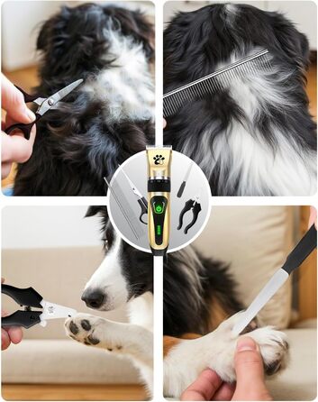 Професійна машинка для стрижки собак та котів Leise, електрична бездротова, 2 швидкості (Золота)