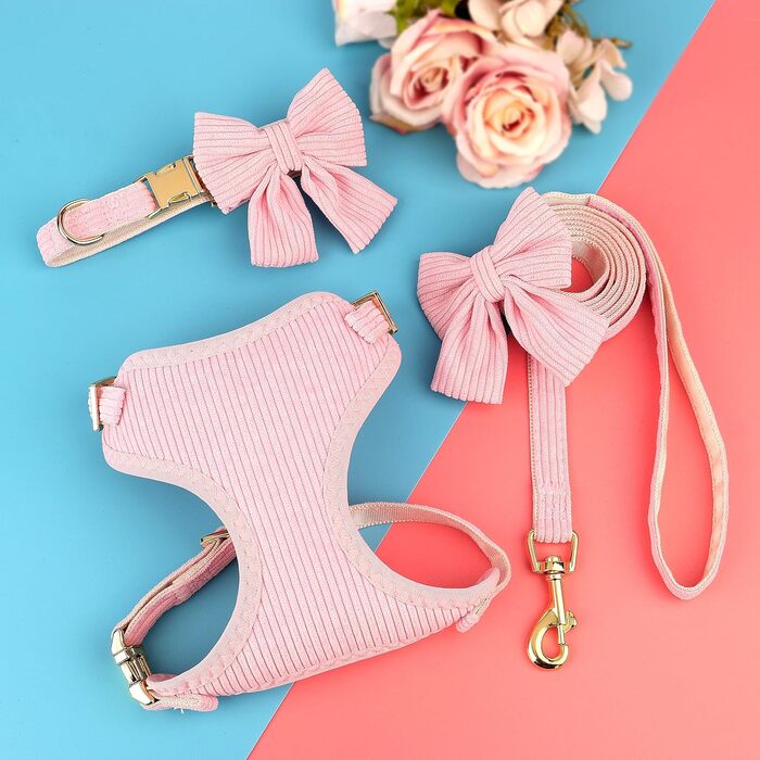 Didog Sweet Collar Harness and Leash Set for Small Dogs, Adjustable Collars and Leashes with Bow Tie, Breathable Soft Mesh Padding for Small Dogs When Walking, Pink, S