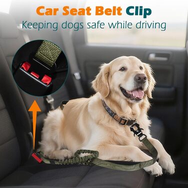 Тактична повідок для собак PetBonus Heavy Duty, 1,5м, еластична, з 2 зручними ручками, фіксатор для авто, No Pull для дресування великих та середніх собак (армійний зелений)