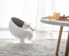 Ліжка для котів