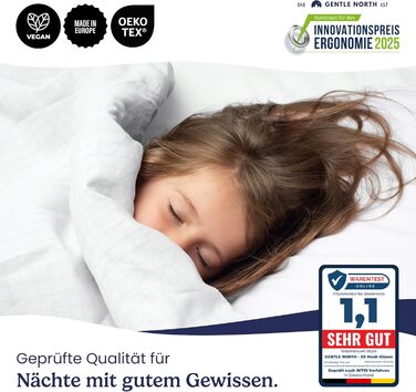 Gentle North High-Quality Pillowcases (80x80 cm size) - Hotel Quality 2-Pack. Fluffy, well-filled sleeping pillows suitable for allergy sufferers (Ökotex 100 certified) - Washable at 60°C 2x | 80x80