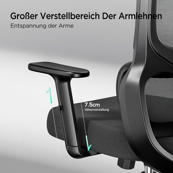 Hbada P2 Air Ergonomic Office Chair with Adjustable Lumbar Support, Height, Footrest, and 2D Headrest - Mesh Computer Chair, Swivel & Tilt Function, Black