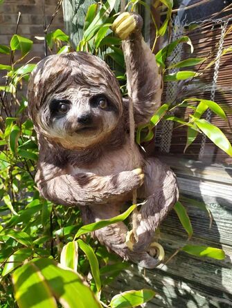 Animal Crackers Large Climbing Sloth on Rope Tree Garden Ornament Decoration Sloth Lover Gift