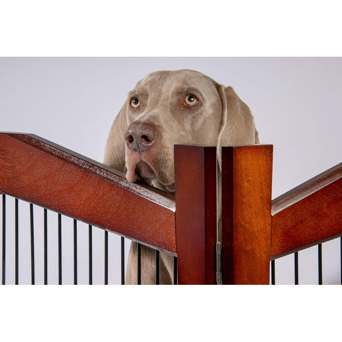 Дерев'яний вольєр для собак Dobar® розмір M з функцією столу - вольєр-будка для собак, 83 x 55 x 59 см, білий (коричневий, L 101 x B 71 x H 80 см)