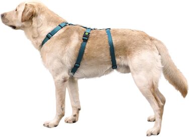 Нашийник-захист для собак Kerbl Pet Panikgeschirr, 38-52 см, 20 мм, для тривожних собак, регульований, Petrol