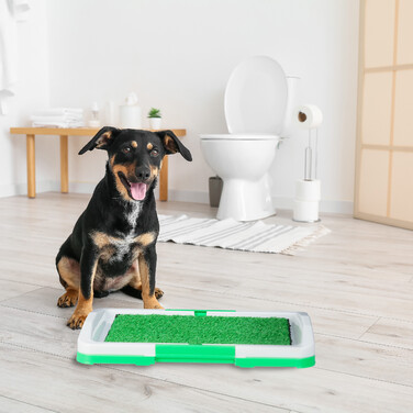 Relaxdays dog toilet with grass