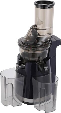 Juicer Slow Juicer, 250W Compact Electric Juicer 800 ml Juice Press for Vegetables and Fruits
