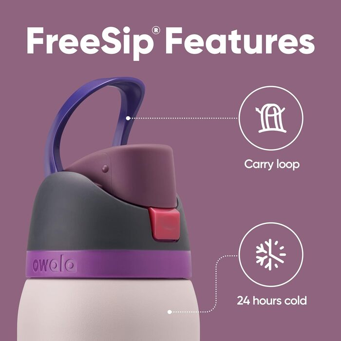 Owala FreeSip Insulated Stainless Steel Water Bottle with Straw for Sports and Travel, BPA-Free, 1.2L, Dreamy Field