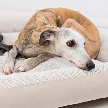 М'яке ліжко для собак 4L Textil Teo, корзина для собак середнього розміру, ліжко-подушка, 60x40 см, бежеве
