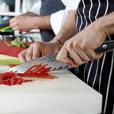 Ніж кухарський SHAN ZU з дамаської сталі AUS10, 67 шарів, професійний, японський, з ручкою G10, у подарунковій коробці
