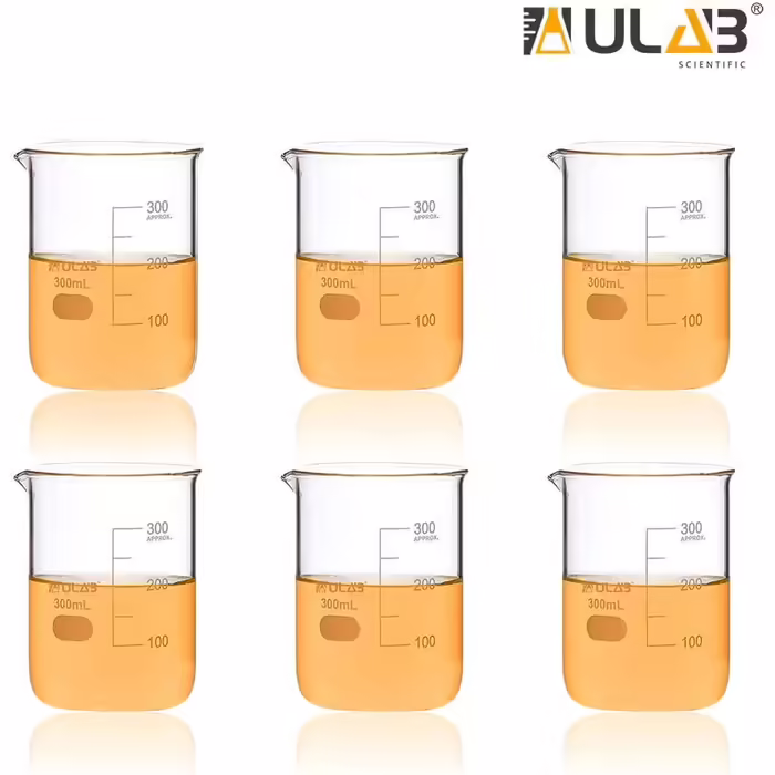 6 Pieces Berker 300ml Glass Beakers, Borosilicate Glass Beakers with Graduations, Glass Beaker Set for Laboratory, Kitchen, School, UBG1023