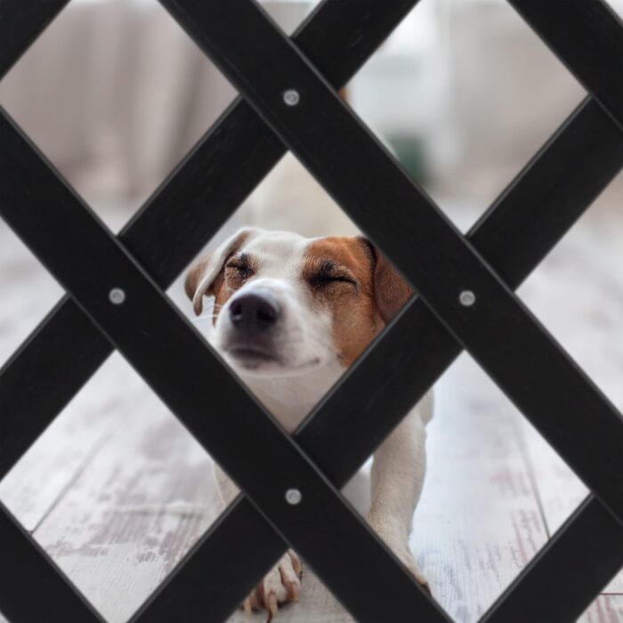 Захисний забірчик для собак Relaxdays, розтяжний до 108,5 см, висотою 47,5-60 см, бамбук, чорний