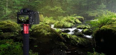 Монопод Rollei Easy Traveler Carbon: Легкий, стабільний та гнучкий для професійних фотозйомок