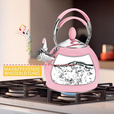 Квітковий чайник 2.6L з нержавіючої сталі з термостійкою ручкою, сумісний з усіма плитами (індукційними)