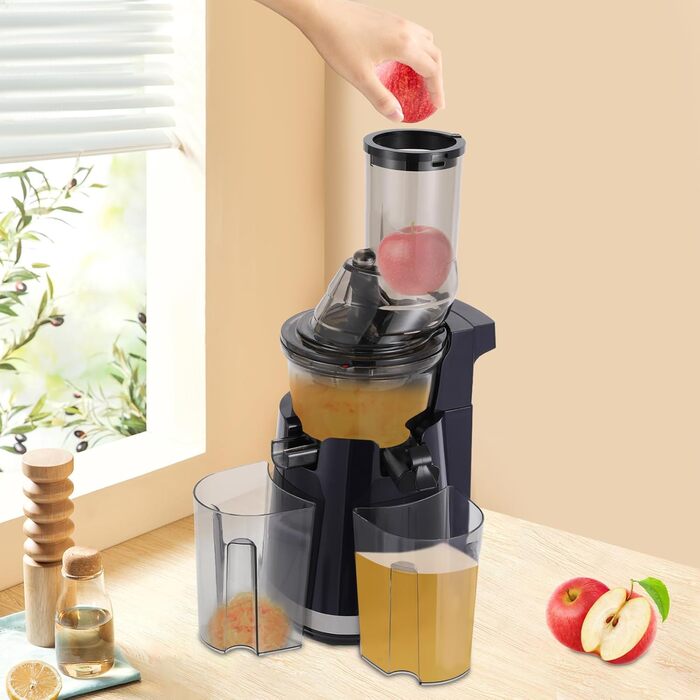 Juicer Slow Juicer, 250W Compact Electric Juicer 800 ml Juice Press for Vegetables and Fruits