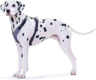 Нашийник для собак HUNTER Neopren, сірий, міцний нейлон, з м'яким неопреном, світловідбиваючий 3M Scotchlite, комфортний, розмір S