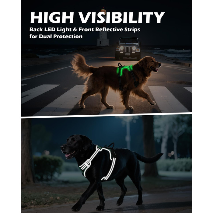 Світловідбиваючий нашийник для собак Joytale, зарядний, середнього розміру, без перетягування, з ручкою, світловідбиваючий, з м'якою підкладкою, регульований, для нічних прогулянок, чорно-синій, M (1 шт.)