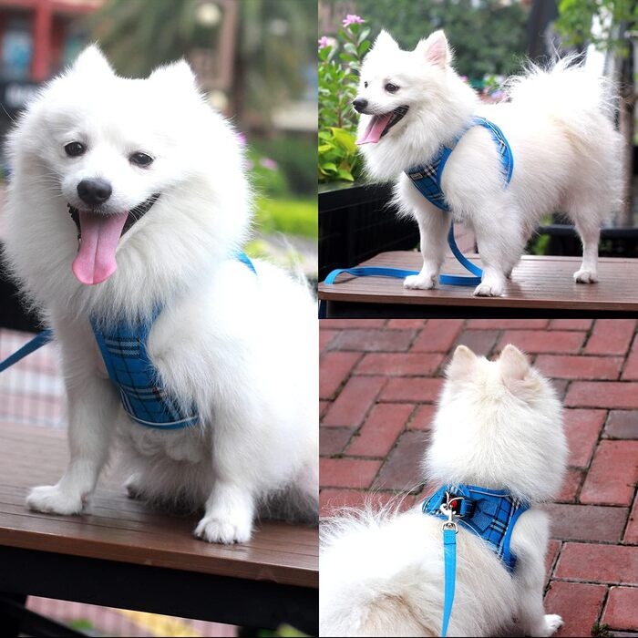 Шлейка для собак Suredoo для маленьких і середніх порід, анти-тяга, дихаюча, з поводом (M, 34-39см; XL, 46-53см, 8-10.5кг), блакитна в клітинку