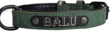 Лідяний нашийник для собак та котів з гравіюванням імені, зелений (L)