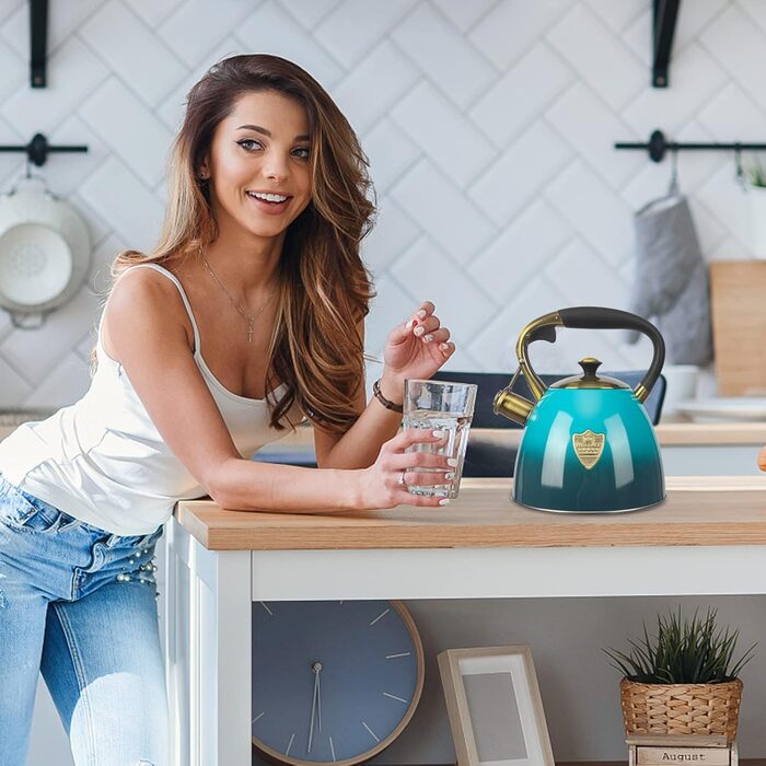 Чайник для плити Teekessel з нержавіючої сталі, 2,9 л (Блакитний)