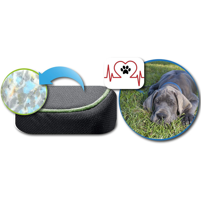 FORTISLINE Dog Mat Dog Bed OAHU Plus 2 Sizes 4 Colors (XL - 120x80x8cm, ) (XL - 120x80x8cm, Green)