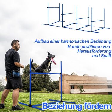 Набір для аджиліті для собак: перешкоди, стрілки, обладнання для тренувань. Регульована висота, 104x70x101 см, зелений (блакитний)