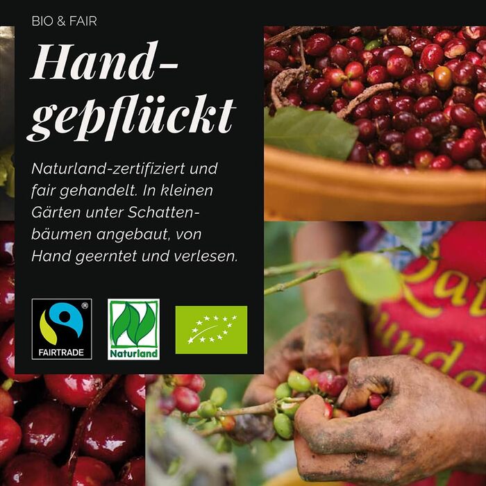 Органічна кава в зернах Mount Hagen Bio FT Naturland Arabica Crema, 1 кг