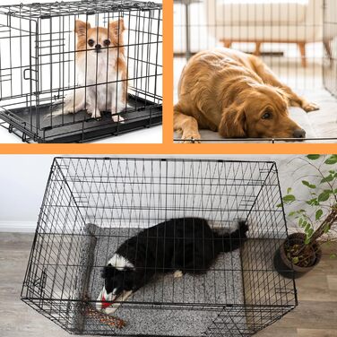 Клітка для собак DIVCHI з піддоном - міцна, складана клітка з двома дверцятами | Легко миється, знімний піддон, підходить для котів | Чорна (122x76x81cm)