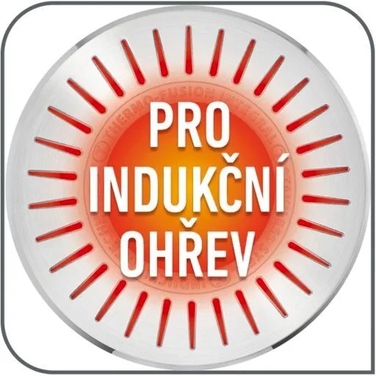 Каструля з кришкою Tefal Intuition для індукційних плит, нержавіюча сталь, 2,9 л, 20 см