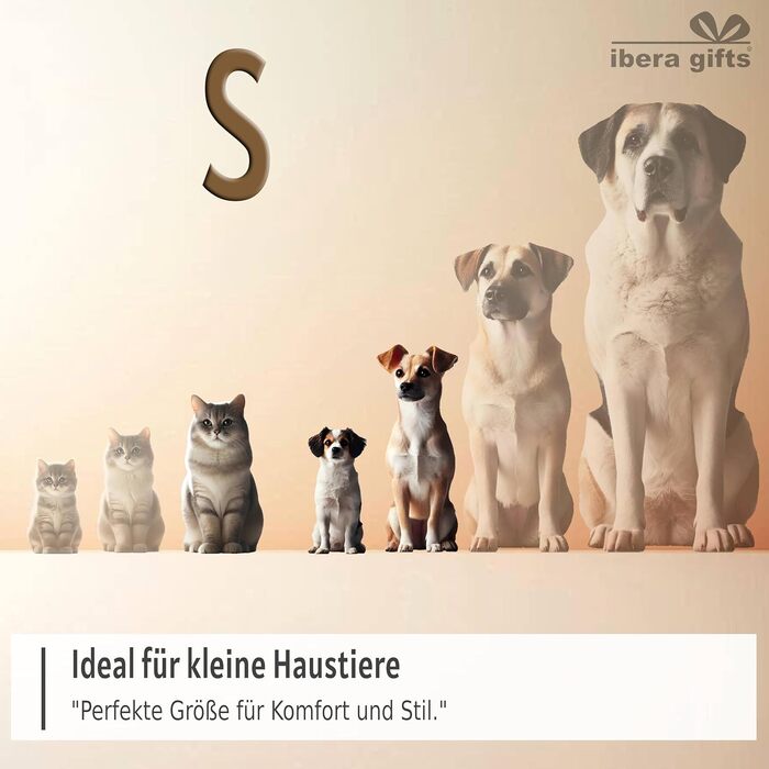 Персоналізований нашийник для собак, з іменем, для маленьких собак, 25-40 см, світловідбиваючий (чорний, S)