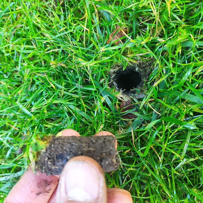 Thick Green Garden Fork Aerator Lawn Aerator Aerating Fork Aerator Lawn Sanding Improved Quality