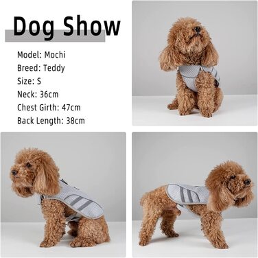 DearDD Cooling Vest for Dogs Summer Cooling Jacket for Dogs, Adjustable Breathable Mesh Dog Vest with Harness D-Ring Warning Vest Dog Coat for Small, Medium, Large Dogs, XL XL (Chest 78-99cm)