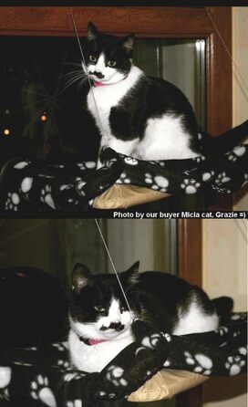 Гамак для котів JZK з підвісним місцем біля вікна + ковдра, ліжко для сонячних ванн, м'яке ліжко для котів, собак, кроликів та інших дрібних тварин