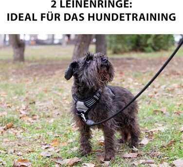 Шлейка для собак Ferplast середнього розміру, 2 гачки для контролю, шлейка від тяги, регульована, світловідбиваюча та дихаюча, ідеальна для тренувань, M, Бежево-коричнева