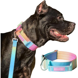 Spark Paws Tactical Dog Collar – Robust, Premium Quality, Thick and Durable for Large and Medium Dogs - M, 5cm (L: 36-68kg [5cm], Pastel Icing)